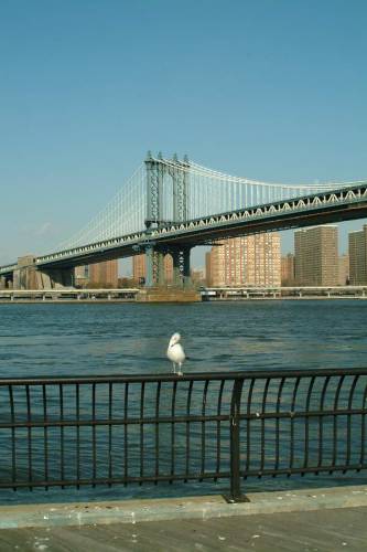 NYC_2006-12-07 12-49-39